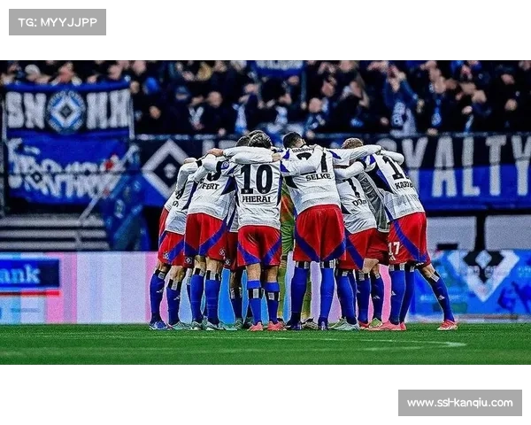 汉堡重返德甲后阵容深度不足 面临29%降级风险 汉堡重返德甲后阵容深度不足 面临29%降级风险