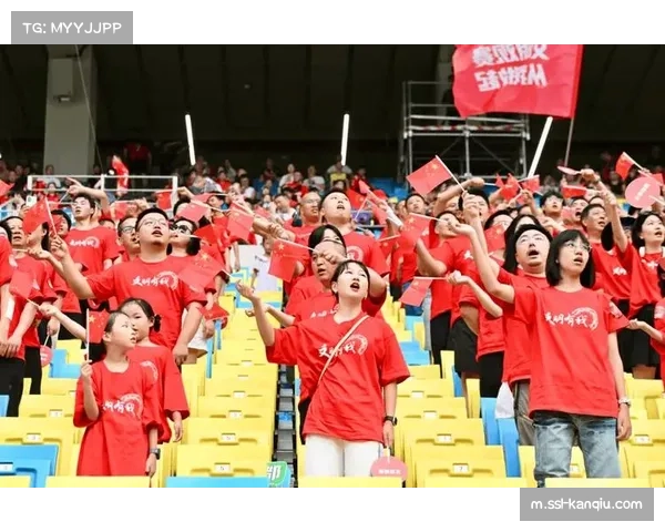 成都蓉城主场41219人观战 西南球市火爆提升商业议价能力